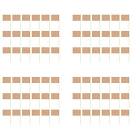 Chenille Kraft Flat Wood Toothpicks 2 500 per Pack - Walmart.com