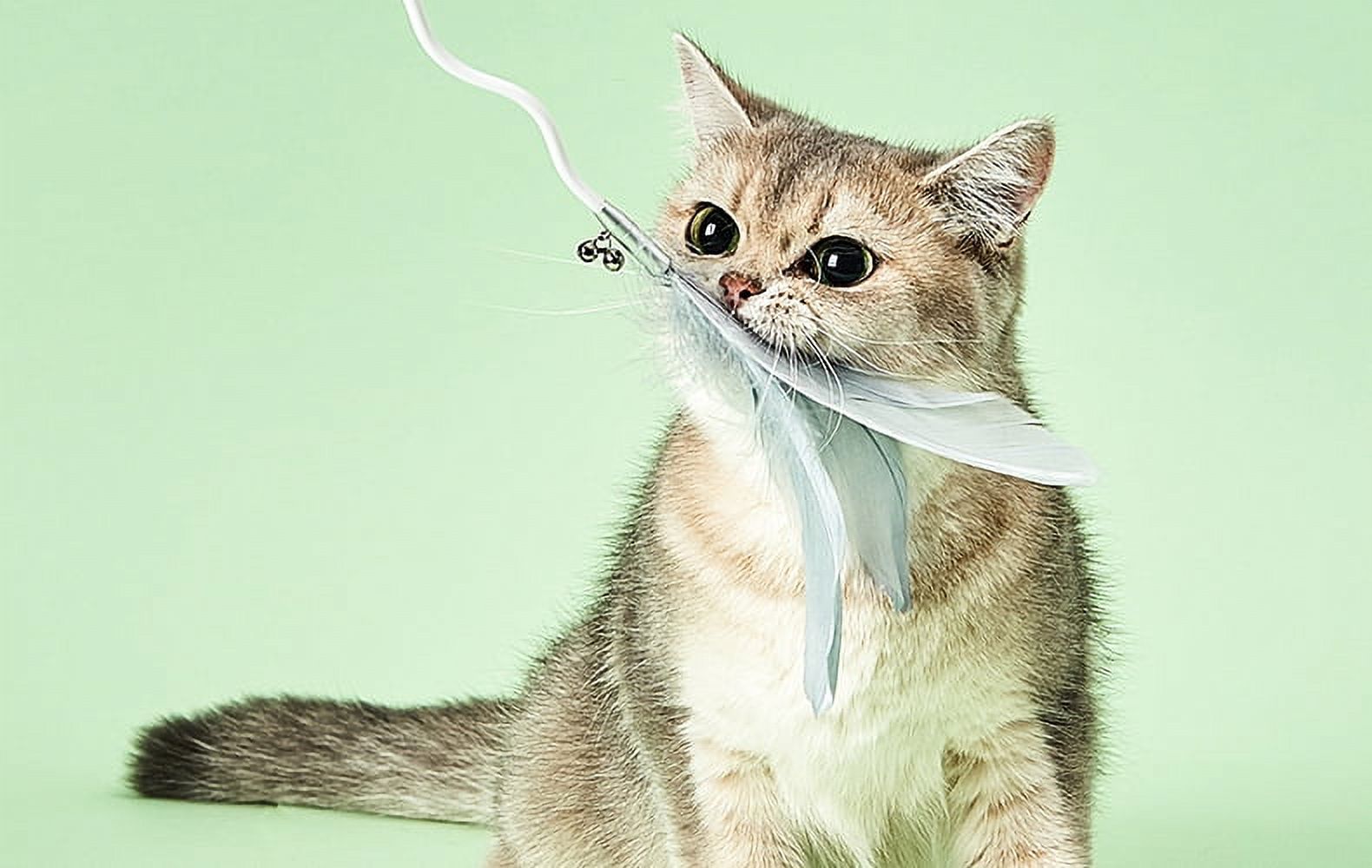 Instachew Cat Bingo Stick Toy, White
