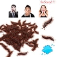 thumbnail image 3 of HUASHENG 10Pcs Creative PVC Artificial centipede Animal Model Toys, 3 of 5