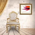 thumbnail image 3 of Burkhart, Monika 31x26 Gold Ornate Wood Framed with Double Matting Museum Art Print Titled - Bird of Paradise V, 3 of 4