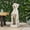 Antique White, variant on Dark Brown Greyhound Dog Statue for Garden Decor, Durable Cast Stone Outdoor Accessory No Assembly Required 33 Inch