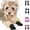Black, variant on Bisitoy Dog Shoes for Hot Pavement, 4Pcs Anti-Slip Sole Booties for Small Dogs Summer Walking