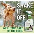thumbnail image 5 of Citrus Magic Pet Odor Eliminator, 22-Fluid Ounce, 5 of 5