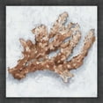 thumbnail image 1 of Great Art Now Coral Display II by Ethan Harper, Framed Wall Art, 17.5W x 17.5H, 1 of 3