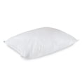 thumbnail image 2 of Downlite Hotel & Resort Medium Density 230 TC EnviroLoft AAFA Certified Down Alternative Allergen Pillow, 2 of 5