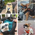 thumbnail image 2 of UOSIA Dog Goggles for Small Breed UV/Wind/Dust Protection Puppy Sunglasses with Adjustable Strap,S,Black, 2 of 6