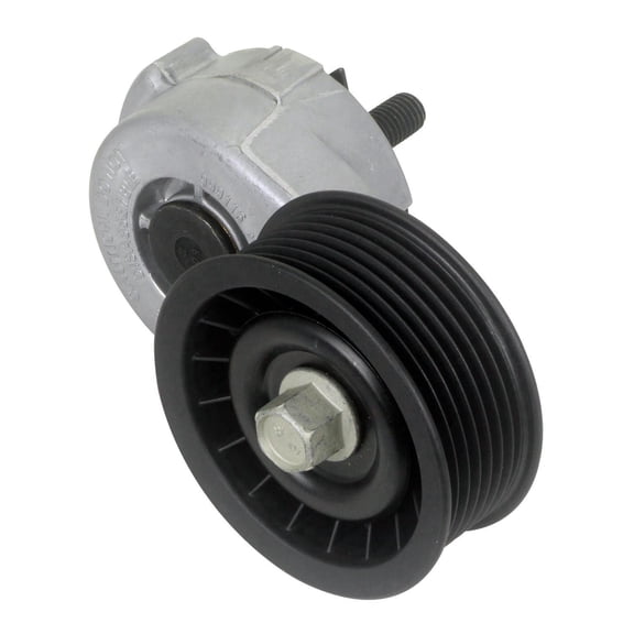 Litens Serpentine Belt Tensioner: 1 Piece