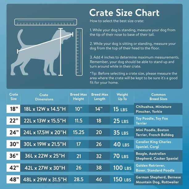 Vibrant Life Double-Door Metal Wire Dog Crate with Divider,30in