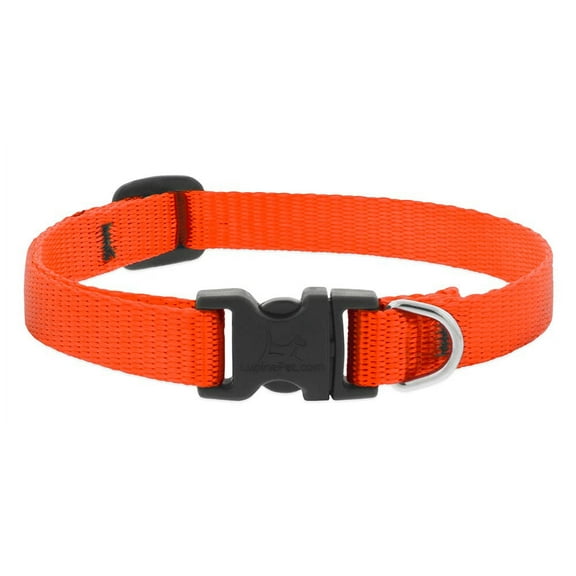 1/2in Blaze Orange 10-16 Adj Dog Collar
