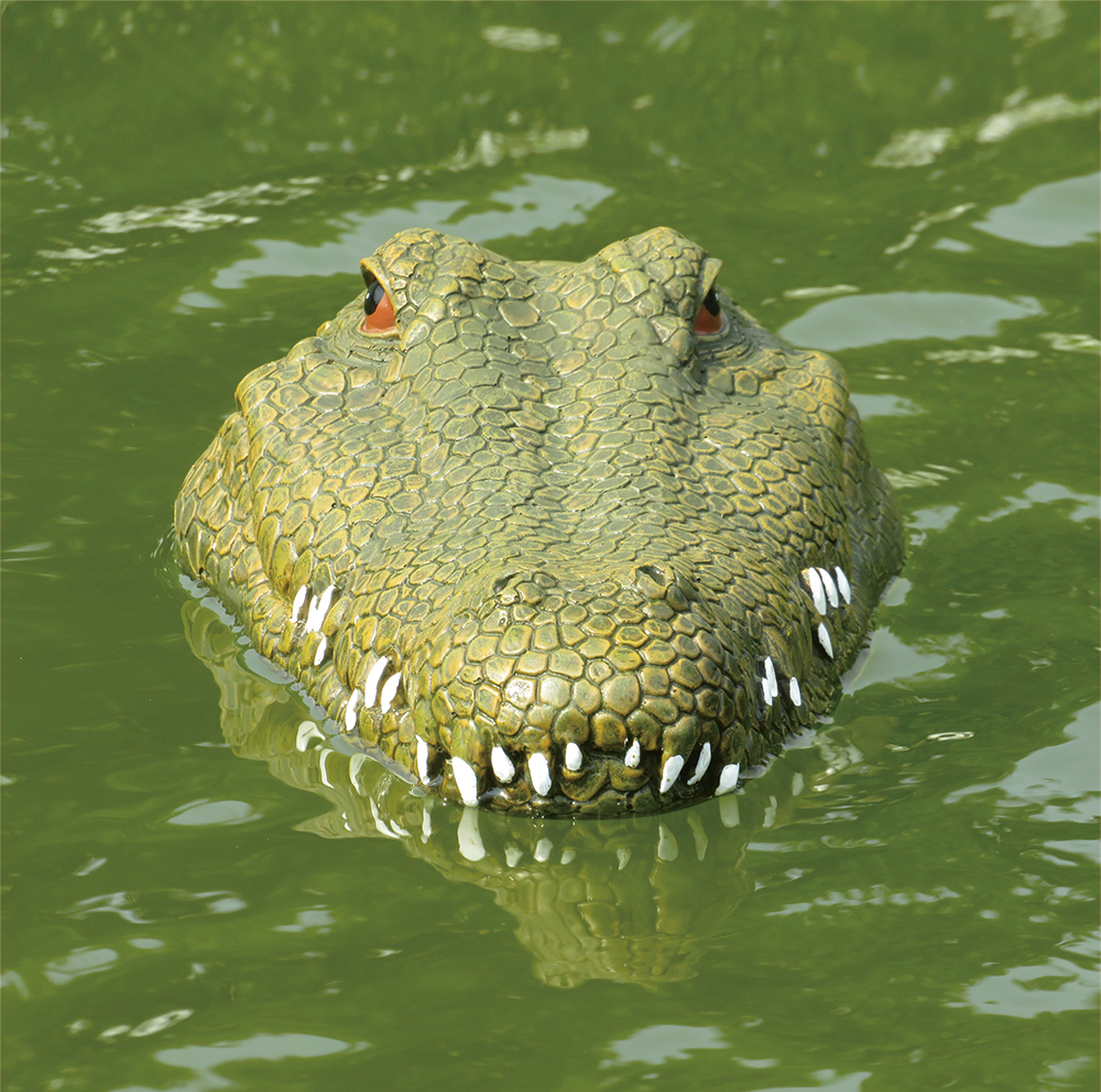 remote control croc head