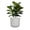 White, variant on STONE LITE 11.6" x 11.6" x 11" Cylindrical White Plastic Plant Pot with Drainage