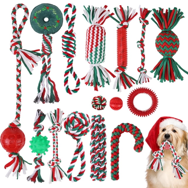 Set de juguetes para perros EXPAWLORER, 15 unidades, para la dentición de todas las razas