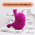 thumbnail image 2 of Stomach Plush Organ Toys- I&rsquo;ve Gut a Good Feeling About This! - Nerdbugs Stomach Plushie Organ Toys, 2 of 5