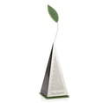 thumbnail image 1 of Tea Forte Icon Stainless Steel Loose Leaf Tea Infuser Extra Fine Strainer with Silicone Leaf and Base, 1 of 5