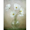 thumbnail image 2 of Disher, Mandy 12x14 White Modern Wood Framed Museum Art Print Titled - Cosmos Breeze, 2 of 4
