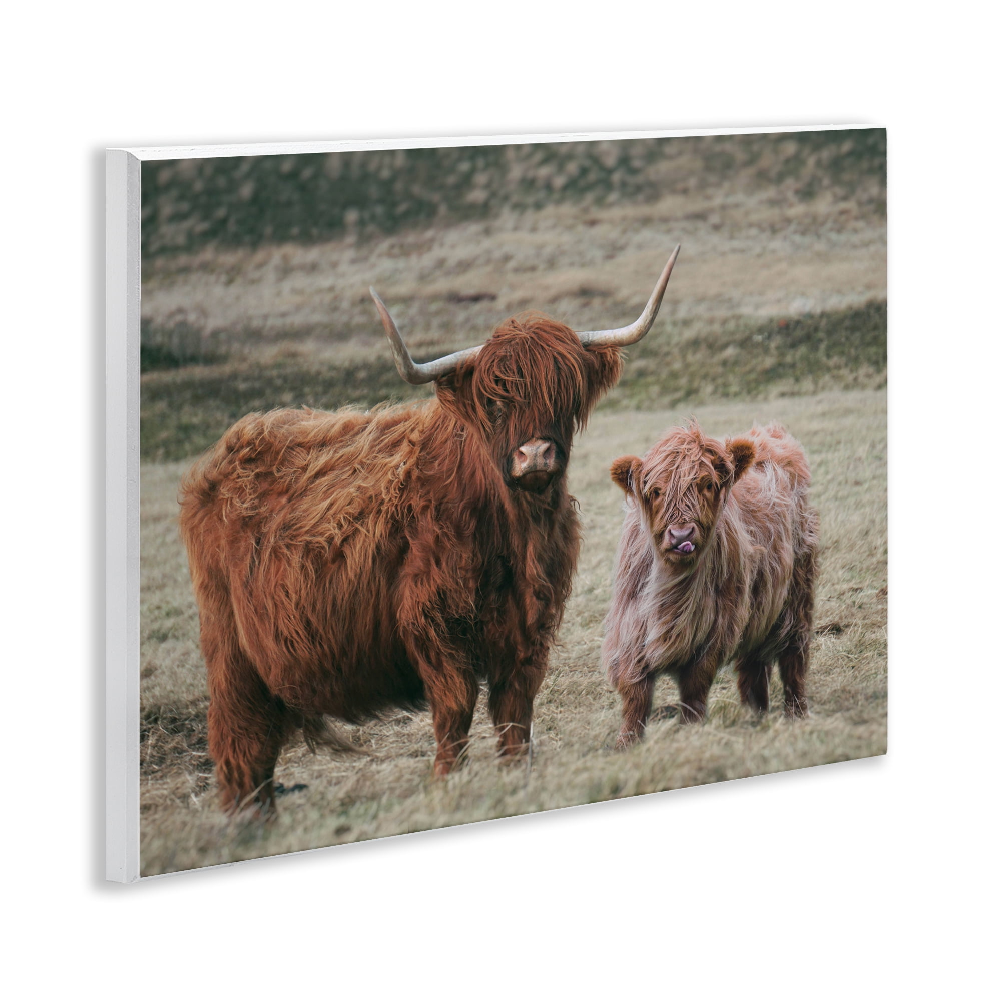 Mom & Baby Cow Wall Plaque Art, design by Lettered and Lined