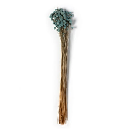 UPC: 0191518203370 | Slate Blue Floral Button Bundle by Ashland®