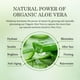 thumbnail image 4 of Gel de aloe vera Aloderma Organic con aceite de árbol de té 300 ml, 4 of 9