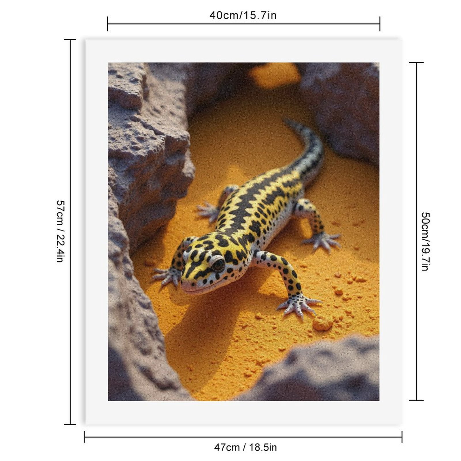 Paint by Numbers Kit for Adults, Yellow Spotted Lizard On Rocks Paint by Numbers, Easy Paint by Numbers Kit for Adults Beginner, DIY Adult Paint by Number Kits on Canvas, 12x16in Home Decor