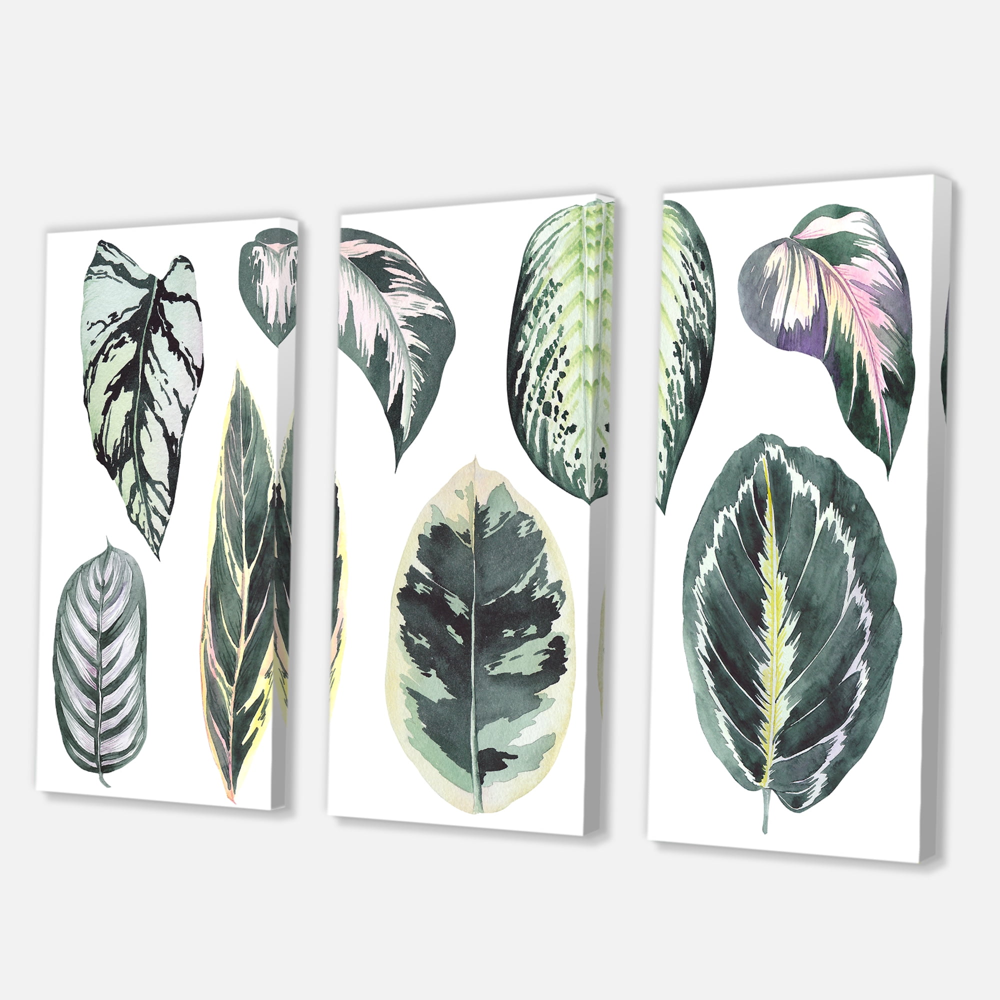 Designart ' Tropical Calathea Leaves On White ' Bohemian & Eclectic Canvas Wall Art Print
