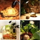 thumbnail image 5 of bombillas UVB+UVA3.0 de 25 W para reptiles, para tortugas, para calefacción y sol, 5 of 7