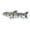 A, variant on Self Propelled Electronic for Outdoor Angling with Rechargeable Motor and LED - Realistic Swimming Action 130mm Smart Swimbait (3 Styles) for Freshwater and Saltwater Platforms