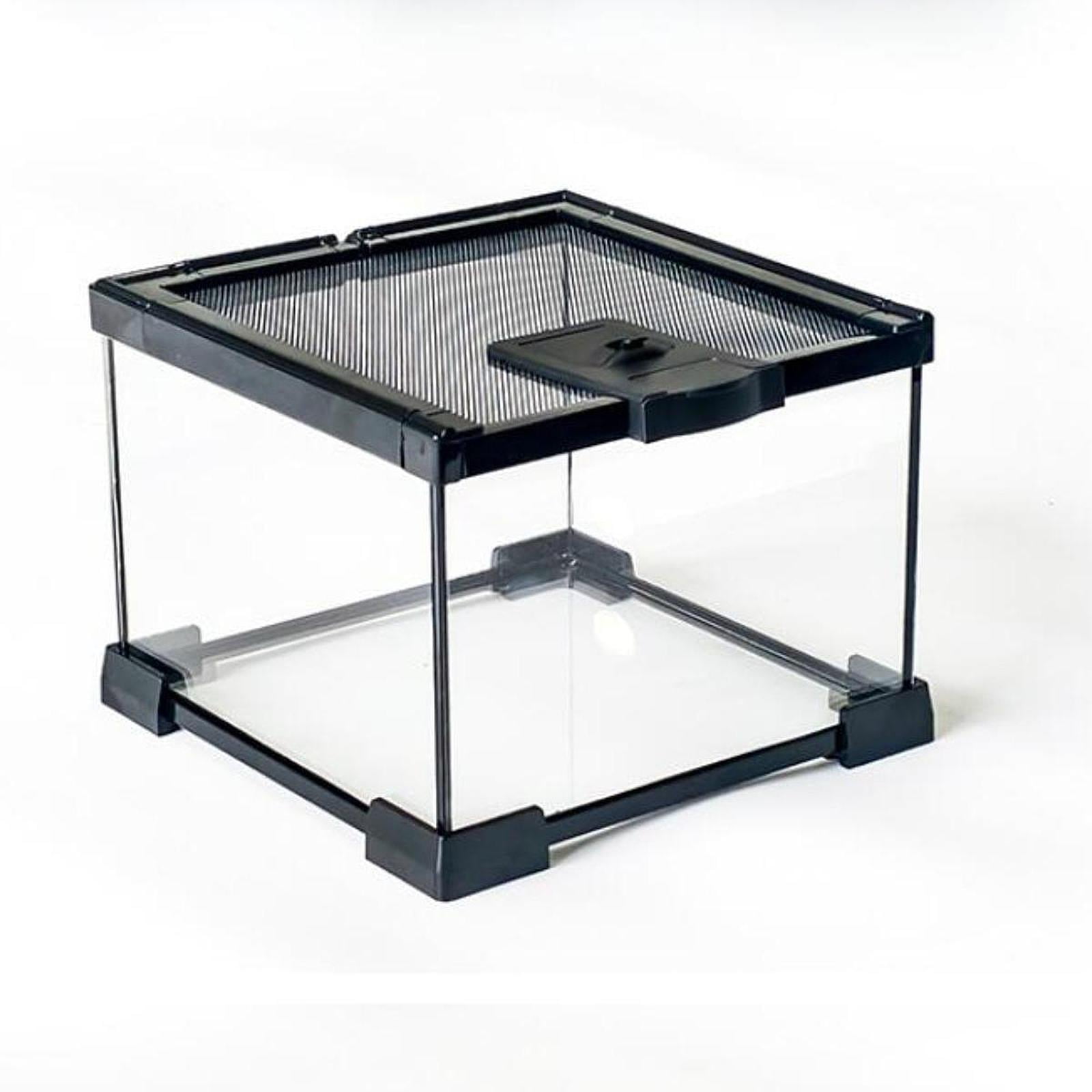 Terrarium Reptile Enclosure Glass Hatching Container Portable Transparent Ventilated for Hermit Crab and Snail Care