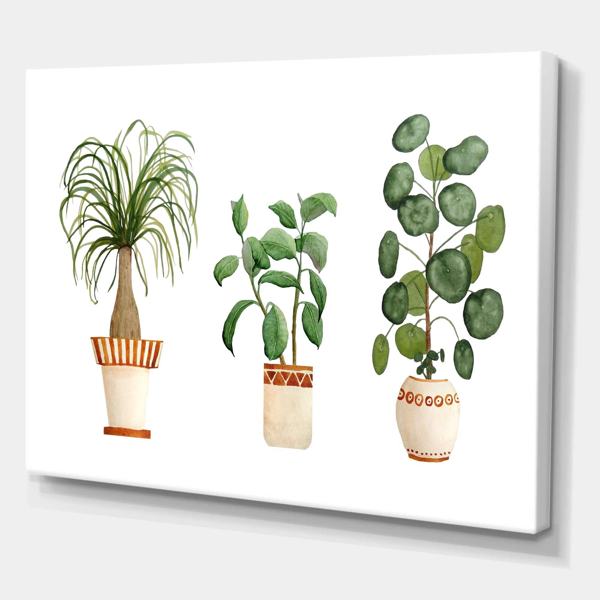 Designart ' Trio of House Plants Ficus Ponytail and Palm ' Traditional Canvas Wall Art Print