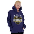 thumbnail image 3 of Louisiana Emblem Pelican Fleur de Lis Unisex Plus Fleece Graphic Hoodie Brisco Brands 2X, 3 of 5