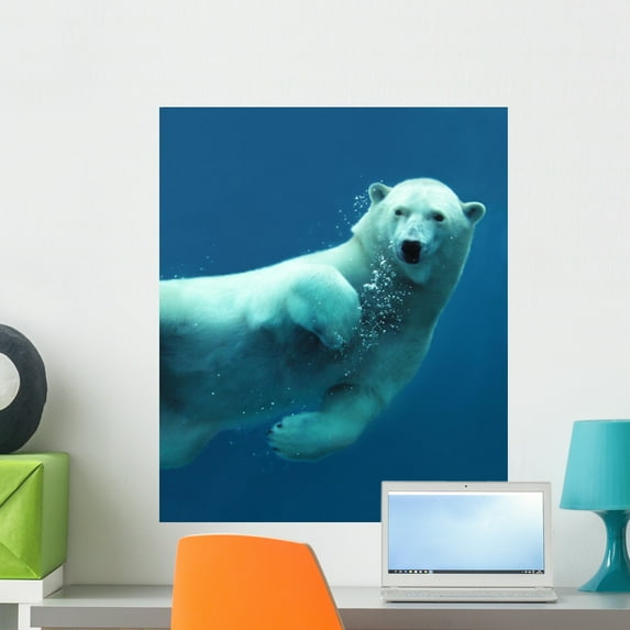 Polar Bear Underwater Close-up Wall Mural by Wallmonkeys Peel and Stick Graphic (24 in H x 20 in W) WM163069