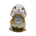 thumbnail image 3 of Figura de conejo de Pascua para patio, impermeable, para jardín, con luces solares Blanco, 3 of 9