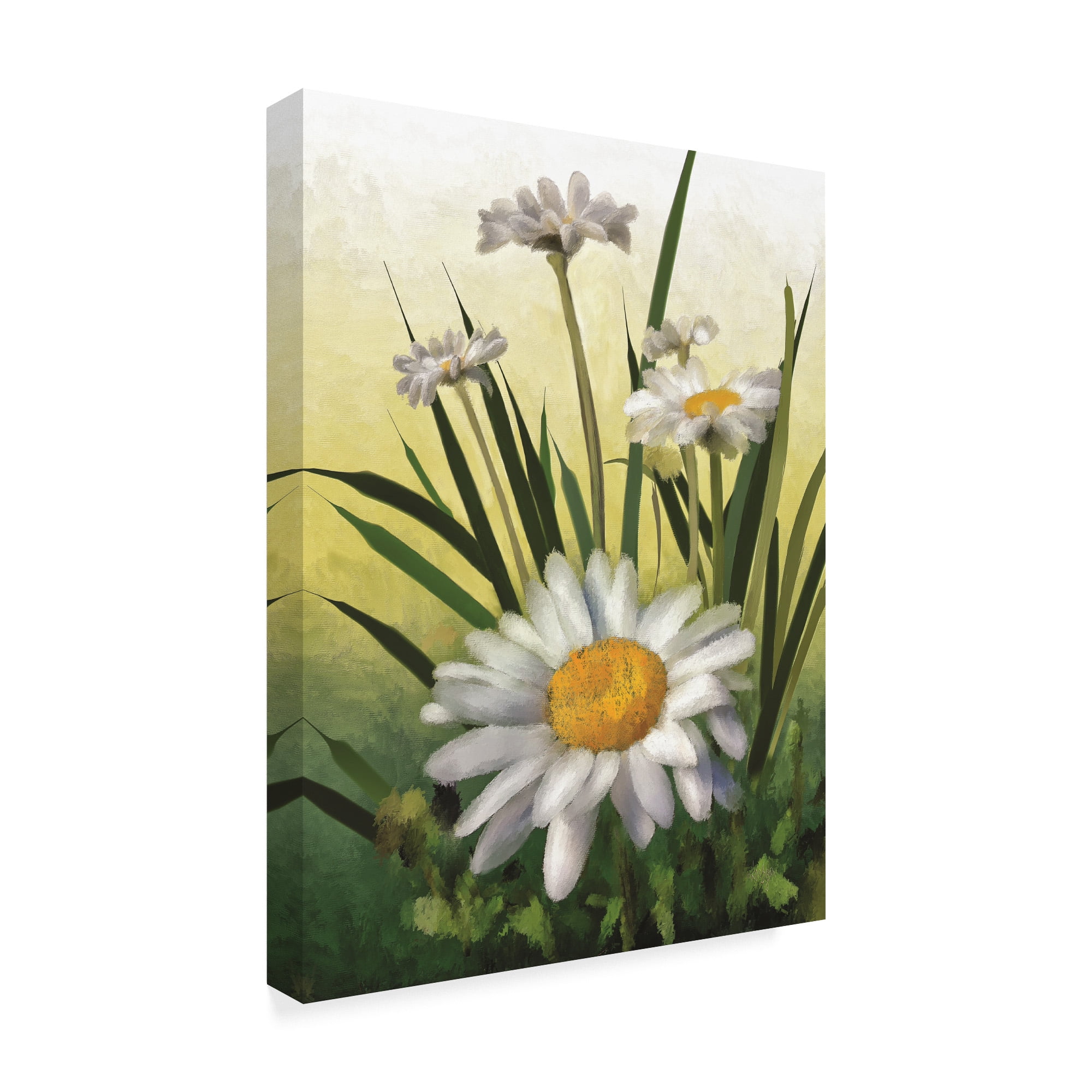 Trademark Fine Art 'Spring Daisies' Canvas Art by Lois Bryan