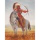 thumbnail image 1 of Pintura al óleo de tiro con arco indio por números, dibujo para colorear DIY para adultos y niños Hugtrwg Para estrenar, 1 of 1