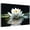 Lotus Canvas Wall Art-5, variant on ZHONGYUTONG Lotus Canvas Wall Art White Flower Blooming Picture Print Zen Spa Painting (12"x18")