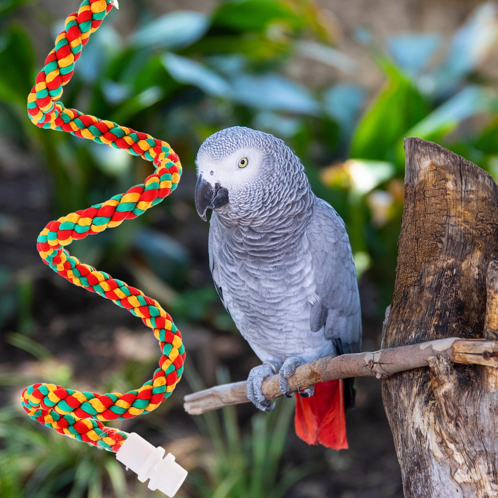 LOLIPPYY 2-Pack Cotton Rope Bird Perch Stand for Parrot Cage, Indoor Bird Toy Accessory