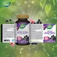 thumbnail image 2 of Nature's Way Sambucus Cold&Flu Relf Adult Gummy 60ct, 2 of 2