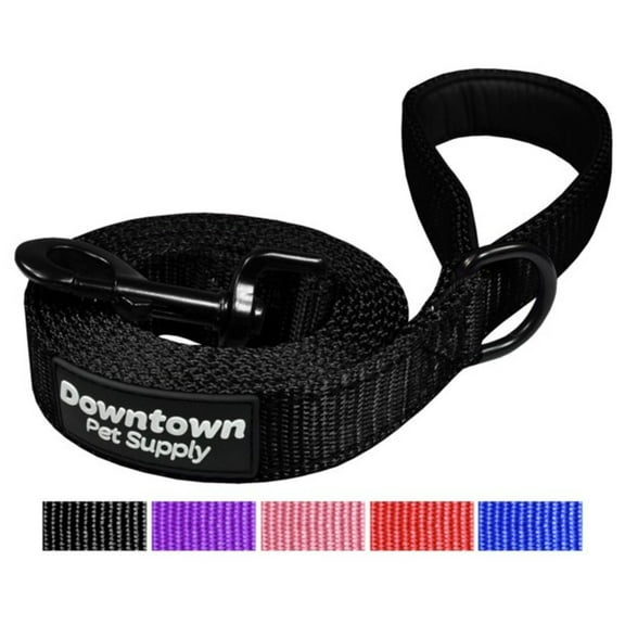 Downtown Pet Supply Reflective Dog Leash with Padded Handle, Black Leash for Dogs