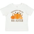 thumbnail image 3 of Inktastic Thankful for My Big Sister Boys or Girls Baby T-Shirt, 3 of 5