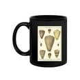 thumbnail image 2 of Cone Shells. Mug - Denis Diderot Designs,, 2 of 4