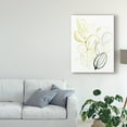 thumbnail image 3 of Trademark Fine Art 'Seed Spectrum I' Canvas Art by June Erica Vess, 3 of 4