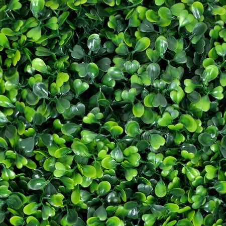 Porpora Artificial Hedge Plant, Greenery Panels Suitable for Both Outdoor or Indoor use, Garden, Backyard and/or Home Decorations, Boxwood 20 x 20 Inch (12