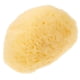 thumbnail image 1 of ColoMX Padena de eliminación de maquillaje Ponja facial Cleansing Exfoliating Sponge esponja reutilizable, 1 of 7