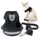 thumbnail image 1 of BR-Vie Arnés y correa de malla suave para gatos, reflectante, a prueba de fugas, ajustable, anti tirones, para perros pequeños, cachorros, gatitos, negro, mediano esquí esquí Gafas de esquí, 1 of 5