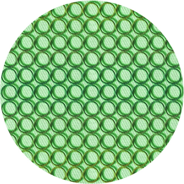 Ahgly Company Machine Washable Indoor Round Transitional Dark Lime Green Area Rugs, 4' Round