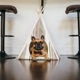 thumbnail image 3 of P.L.A.Y. Teepee Tent - Horizon Seacoast - Cozy Cove Pet Bed, Dogs & Cats, Built-In Pine Wood Supports, Ergonomic Foam Cushion, Machine Washable, 3 of 6