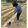 thumbnail image 4 of Tierra Garden RP40160 36-Inch Kid's Fox Point Shovel Blue, 4 of 5