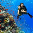 thumbnail image 4 of BRI Puntero de cosquillas de aleación de aluminio para buceo con medición y cordón (negro), 4 of 10