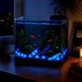 thumbnail image 5 of Fish Tank Decorations Fake Rocks Block Little Glow in The Dark Aquarium Stones Fish Turtle Tank Pebbles Gravel Garden Rocks 40Pc 1.4cm, 5 of 6