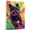 Affenpinscher, variant on Xoloitzcuintli Dog Playing Climbing Stretched Canvas Size 8x12 – Vintage Style Xoloitzcuintli Dog Art for Climbing Fans, Great Gift for Dog Owners