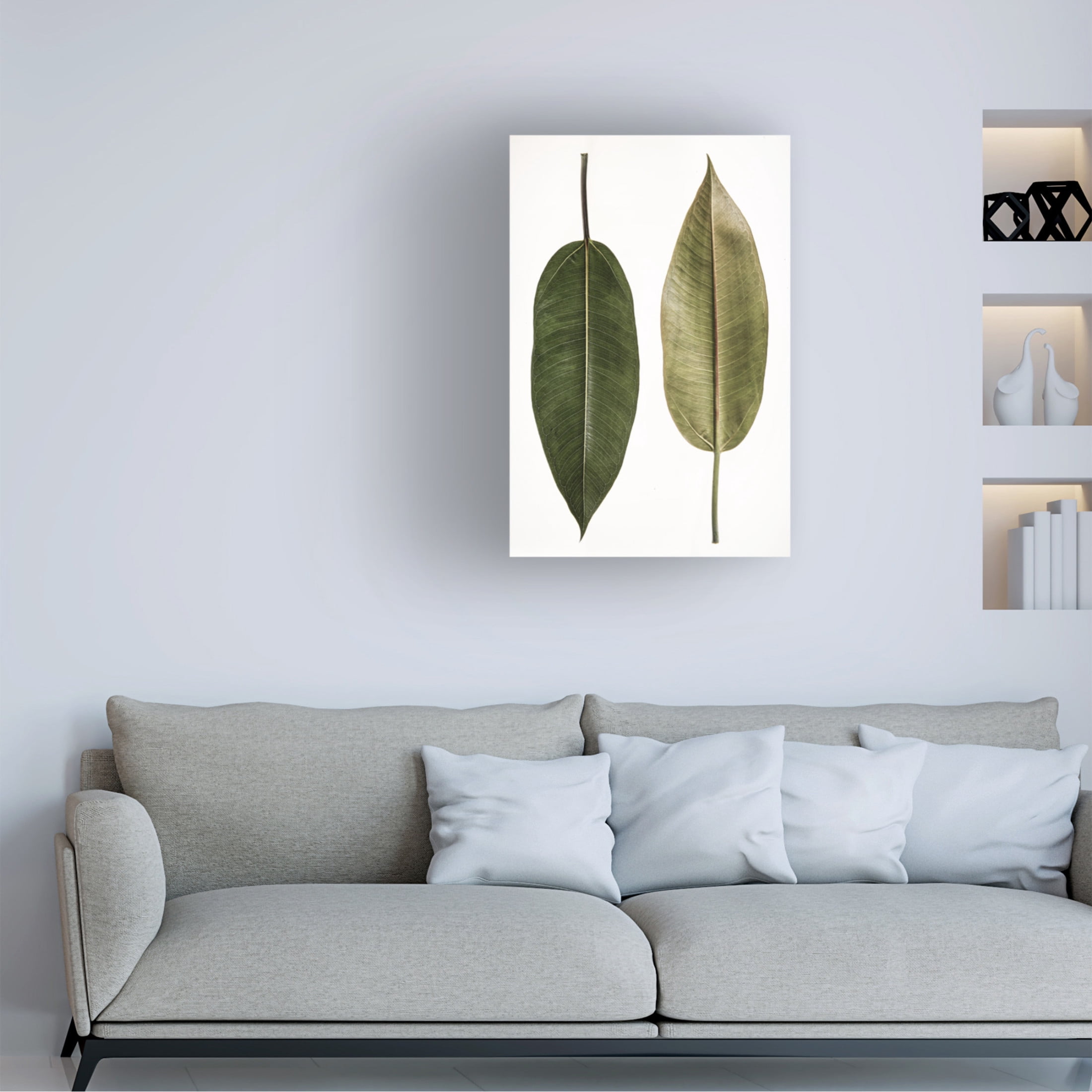 Trademark Fine Art Shot by Clint Leaf Study 05 Canvas Wall Art